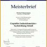 Sensationell Meisterbrief Vorlage Download 992x1403