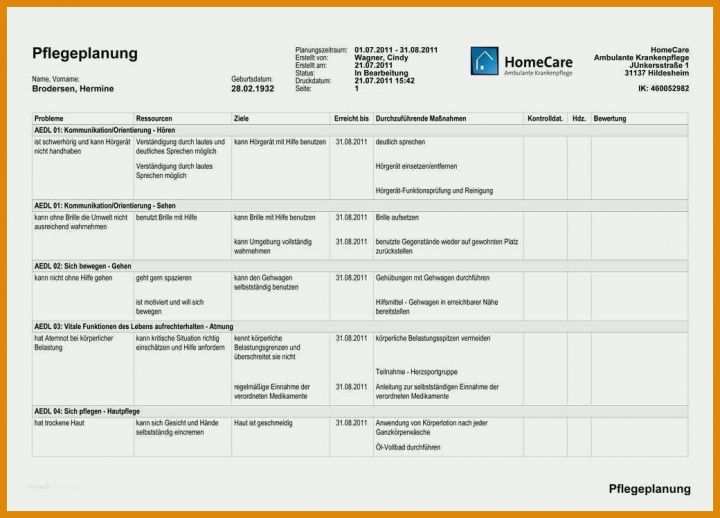 Überraschend Pflegeplanung Leere Vorlage 1040x748