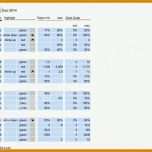 Fabelhaft Prozessanalyse Excel Vorlage 736x549