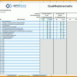 Moderne Qualifikationsmatrix Excel Vorlage Kostenlos 894x827