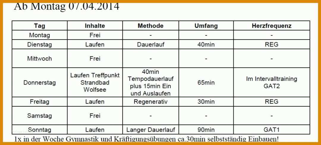 Original Trainingsplan Pferd Vorlage 1097x495