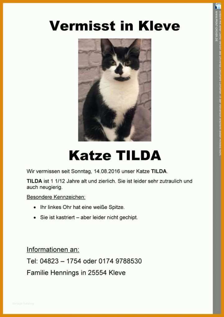 Spektakulär Vermisstenanzeige Katze Vorlage 749x1060