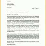 Limitierte Auflage Vorlage Motivationsschreiben 1107x1566
