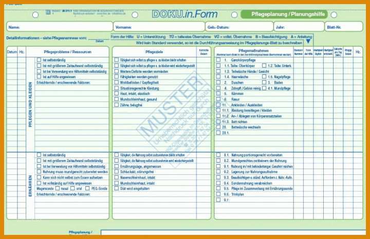 Unvergesslich Vorlage Pflegeplanung 902x584