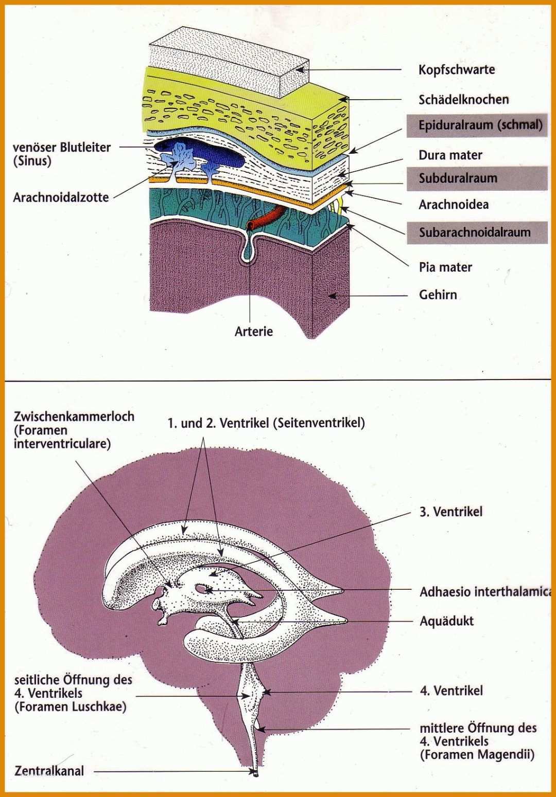 Perfekt Anamnese Fragebogen Vorlage 1141x1638