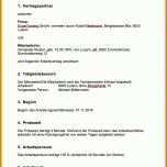 Limitierte Auflage Besprechungsprotokoll Vorlage Pdf 972x1300