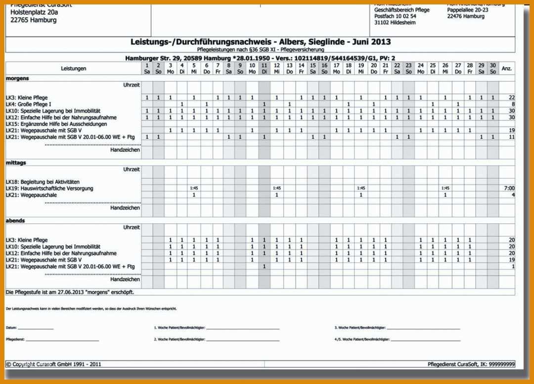 Neue Version Pflegedokumentation Vorlage 1199x863