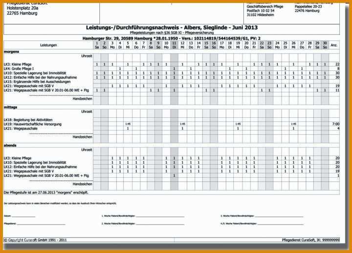 Moderne Pflegedokumentation Vorlage 1199x863