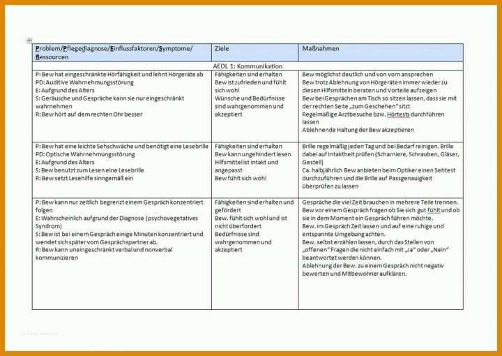 Unglaublich Pflegeplanung Vorlage 1000x709