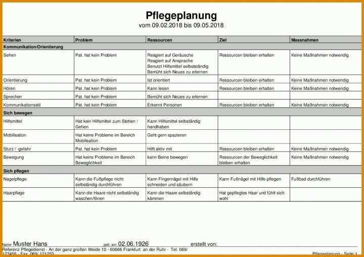 Rühren Vorlage Pflegeplanung 1497x1058