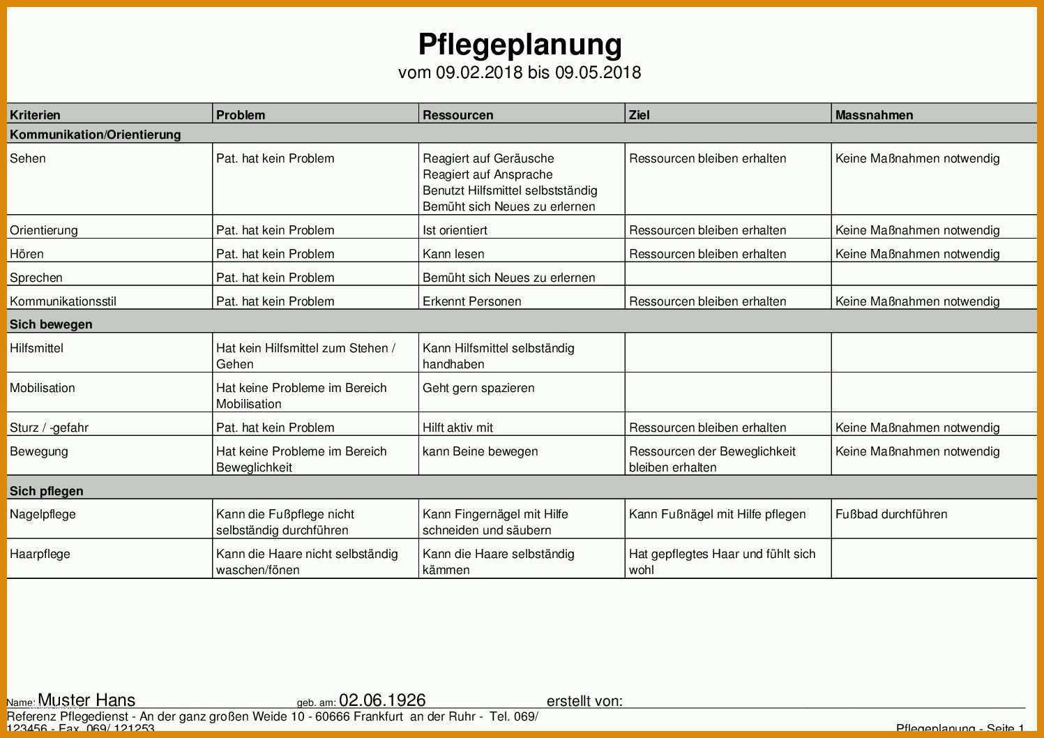 Unvergleichlich Pflegeplanung Meinpflege Nst 938899 - Muster & Vorlagen