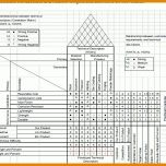 Einzigartig House Of Quality Excel Vorlage 895x613