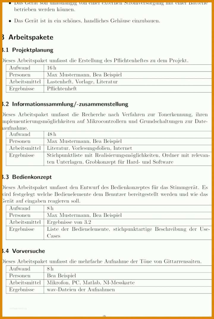 Unglaublich Lastenheft Vorlage Word 912x1355