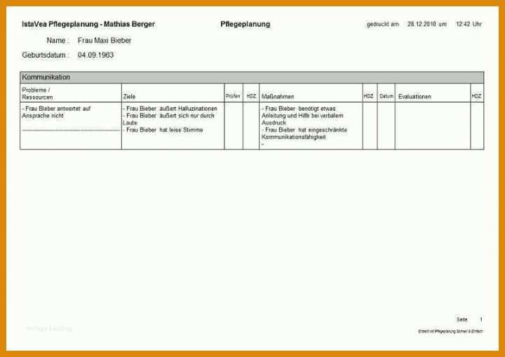 Wunderschönen Pflegeplanung Leere Vorlage 800x565