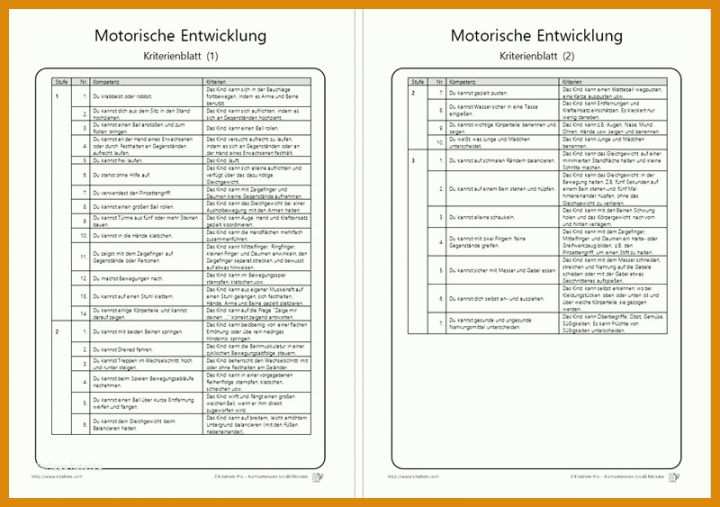 Bestbewertet Portfolio Kita Vorlagen Pdf Kostenlos 800x563