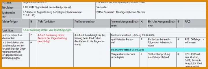 Modisch Prozess Fmea Vorlage 1069x355