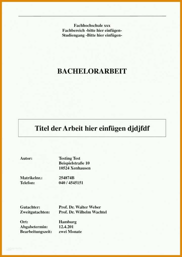 Limitierte Auflage Vorlage Bachelorarbeit 950x1341