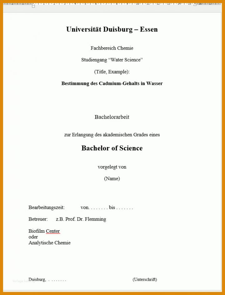 Größte Vorlage Bachelorarbeit 731x961