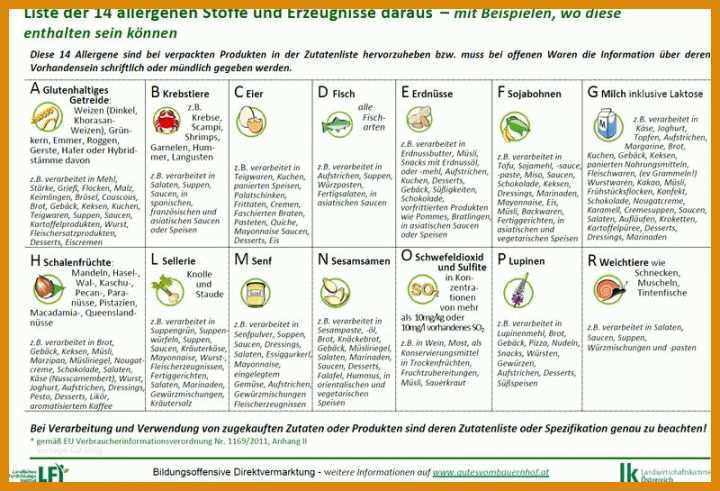 Allergene Tabelle Vorlage Allergene