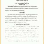 Schockieren Berliner Testament Vorlage Kostenlos Pdf 1224x1584