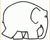 Spezialisiert Elmar Elefant Vorlage 3368x2792