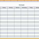 Unglaublich Ernährungstagebuch Vorlage Excel 1044x715