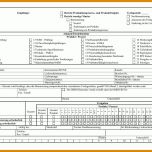 Sensationell Erstmusterprüfbericht Vda Vorlage Download 1024x725