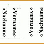 Selten Namensschild Vorlage Word 920x650