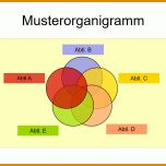 Am Beliebtesten organigramm Vorlage 1025x763