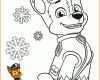 Beeindruckend Paw Patrol Vorlage 2489x3532