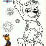 Beeindruckend Paw Patrol Vorlage 2489x3532