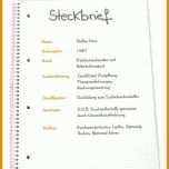 Einzahl Steckbrief Erzieherin Kindergarten Vorlage 1410x1626