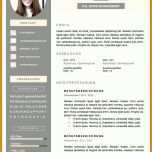 Angepasst Kreativer Lebenslauf Vorlage Word Kostenlos 736x1040
