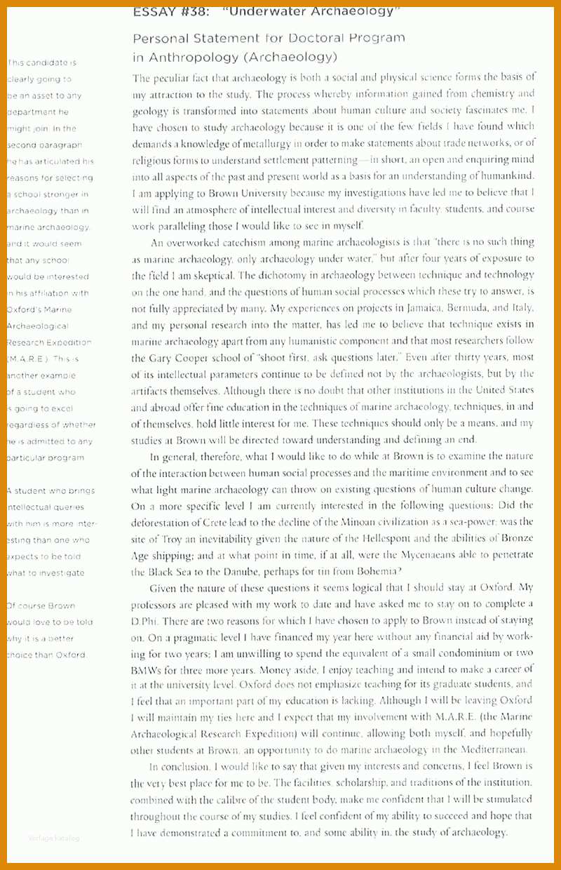 Erstaunlich Motivationsschreiben Auslandssemester Vorlage 800x1240