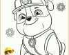 Allerbeste Paw Patrol Vorlage 2489x3532