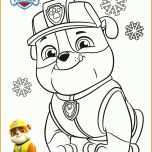 Allerbeste Paw Patrol Vorlage 2489x3532