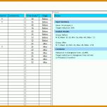 Phänomenal Smed Vorlage Excel 1590x691