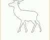 Singular Elch Vorlage Zum Aussägen 2480x3508