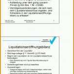 Allerbeste Bilanz Vorlage Pdf 960x1512