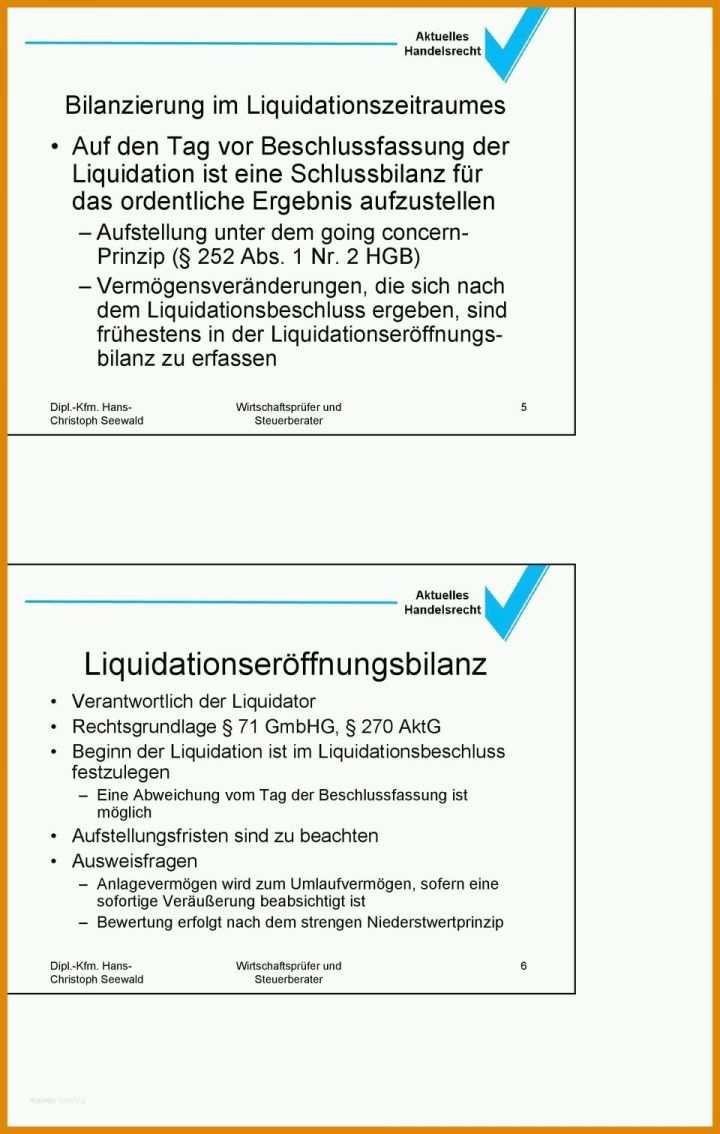 Spezialisiert Bilanz Vorlage Pdf 960x1512