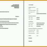 Modisch Businessplan Arbeitsamt Vorlage Kostenlos 1137x702