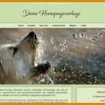 Erschwinglich Hunde Homepage Vorlagen 800x495