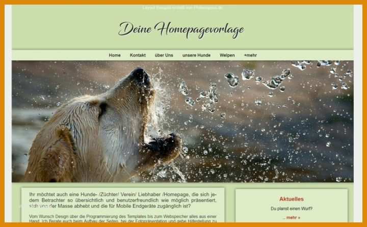 Selten Hunde Homepage Vorlagen 800x495