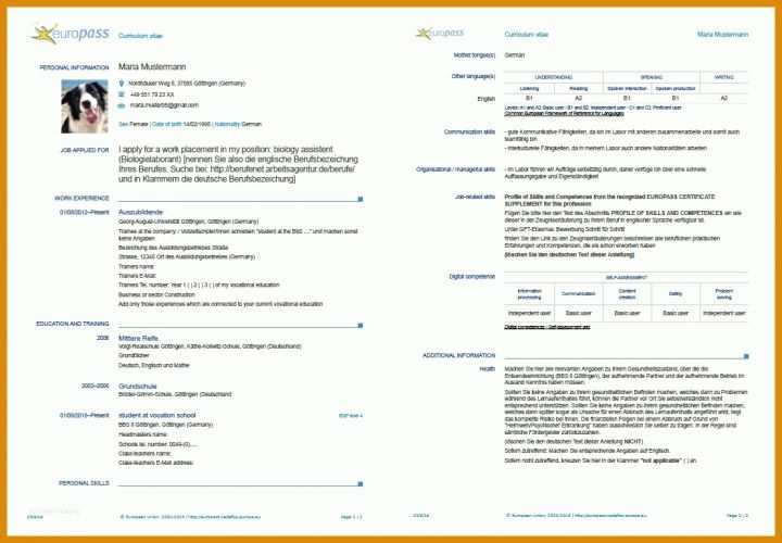 Perfekt Lebenslauf Fos Anmeldung Vorlage 1108x770