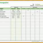 Fabelhaft Medikamentenplan Vorlage Kostenlos 1011x750