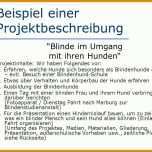 Allerbeste Projektbeschreibung Vorlage Schule 960x720