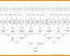Einzahl Stammbaum Vorlage Mit Geschwistern 800x579