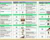 Beste Vorlage Trainingsplan Fitnessstudio 1600x818