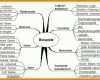 Unglaublich Biografie Vorlage 917x486
