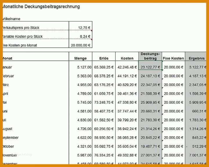 Am Beliebtesten Deckungsbeitragsrechnung Excel Vorlage Kostenlos 747x600